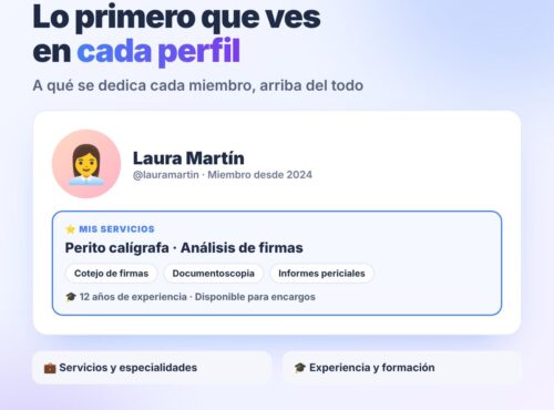 Plugin Mis Servicios: los servicios de cada miembro arriba de su perfil de BuddyPress