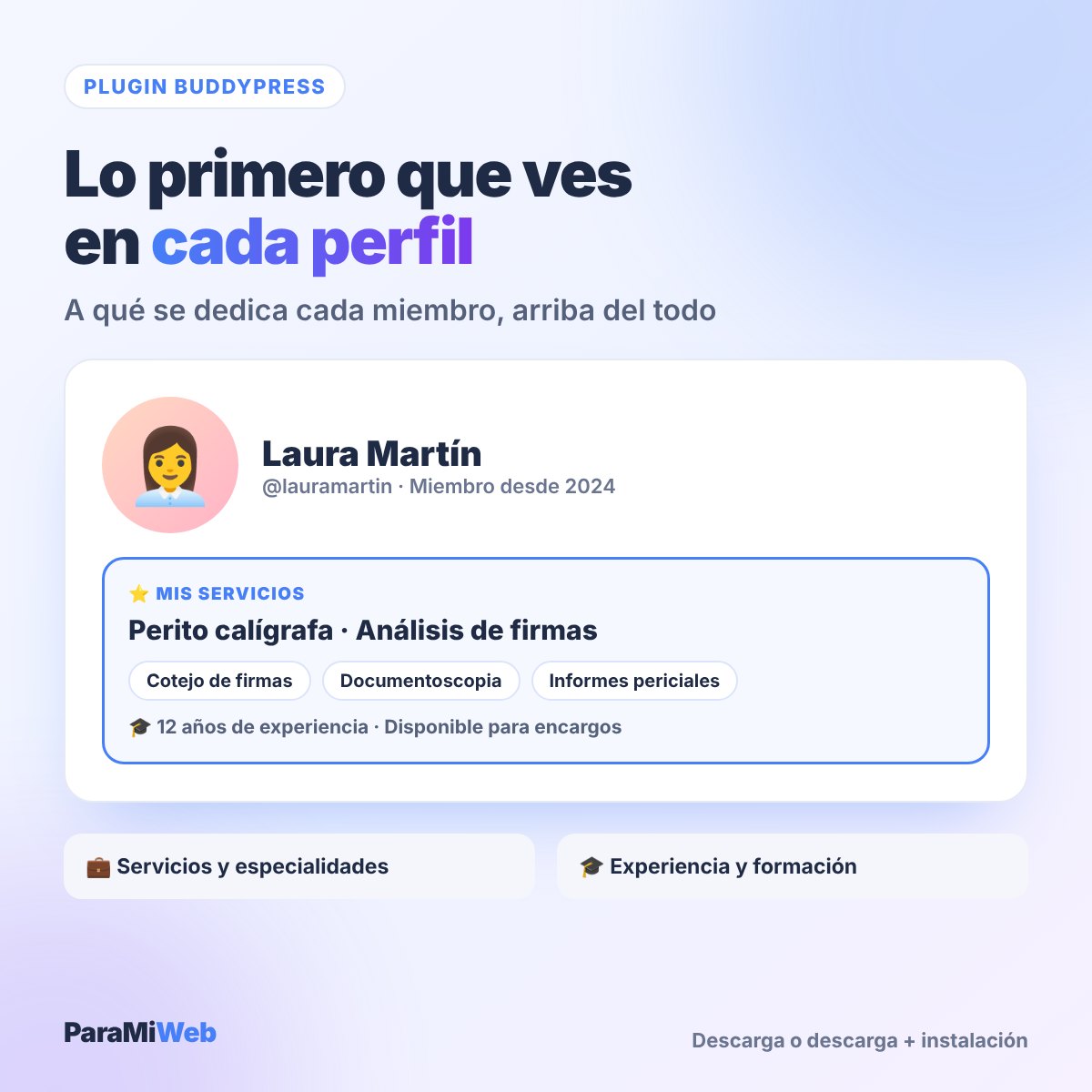 Plugin Mis Servicios: los servicios de cada miembro arriba de su perfil de BuddyPress